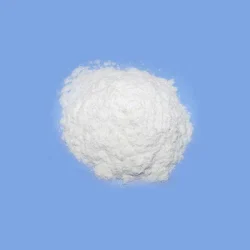 cppowder Calcium Propionate Powder (100g)